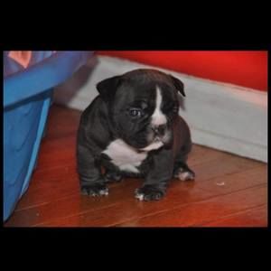 Meet your Posher, Ray